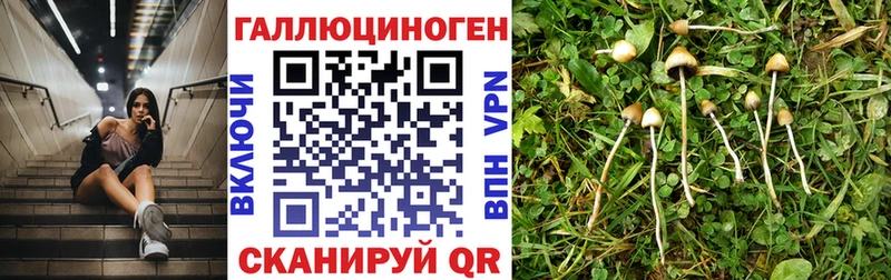 Галлюциногенные грибы мухоморы Любань